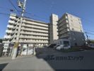 デミューズ木幡の外観