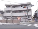 パトラスの外観