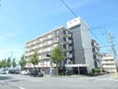 山本グランドハイツの外観