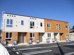 ゴールド ルチル Kの外観画像