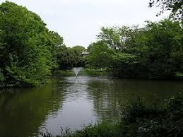 近くの和田堀公園まで1,442m(徒歩19分)