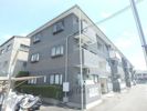 ピルツ木の子マンションの外観