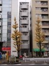 アール・ブリュット白山の外観