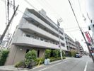 プライマル武蔵関の間取り画像