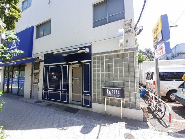 近くの本郷獣医科病院まで300m(徒歩4分)