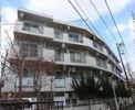 美和プラザ富士見ヶ丘の間取り画像