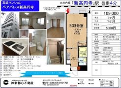 ペアパレス新高円寺の間取り画像