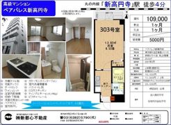 ペアパレス新高円寺の間取り画像