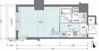 レジディア銀座東の間取り画像