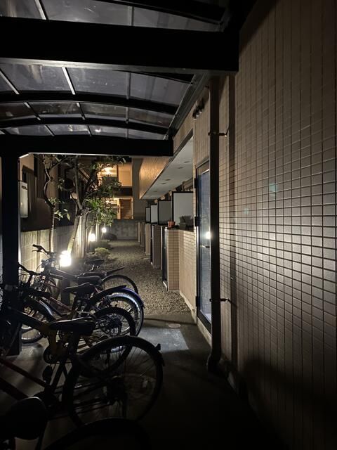 庭