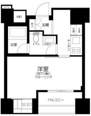 パークリュクス銀座monoの間取り画像