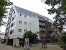 ダイナシティ高円寺の間取り画像
