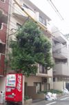 ストーク南麻布の間取り画像