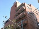 パレスアンドーラの間取り画像