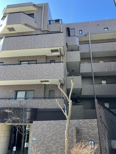 日神パレステージ駒場の外観画像