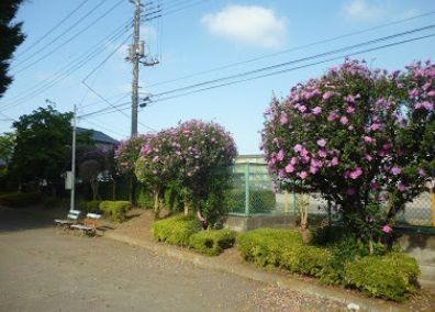 近くに施設あり