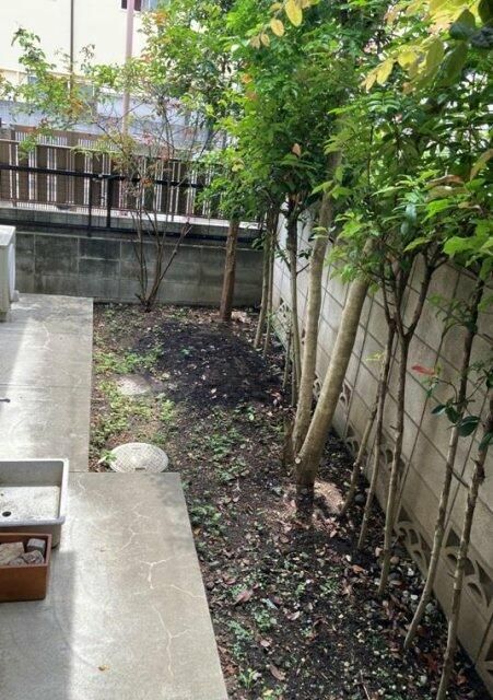 庭