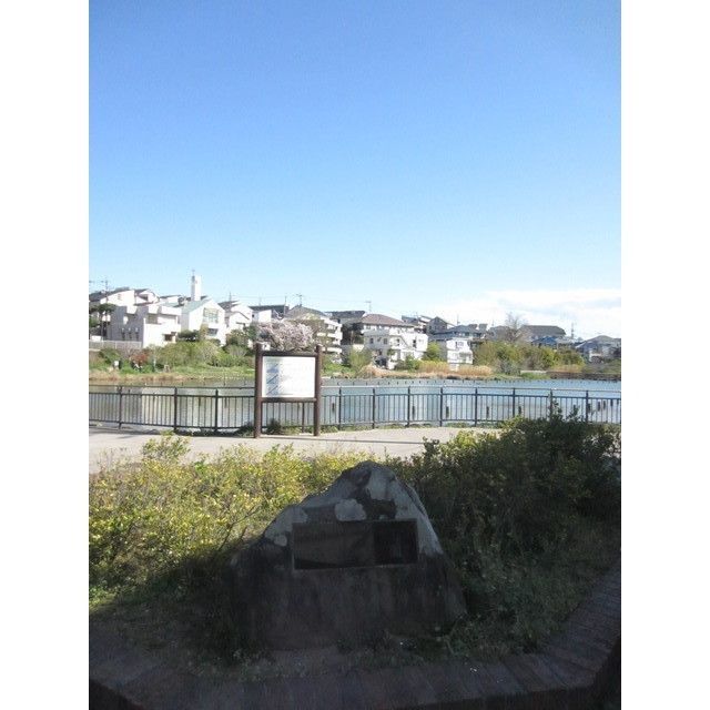 近くに小池公園（18m）あり