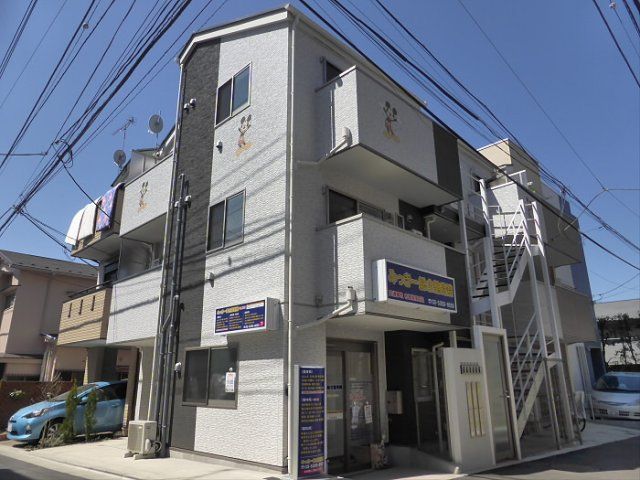 ファレノプシスの外観画像
