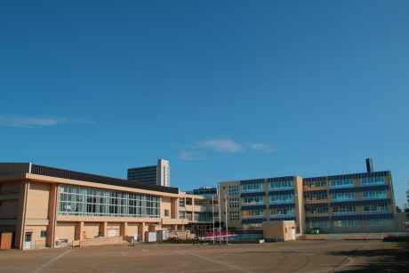 近くの上越市立大町小学校まで334m(徒歩5分)