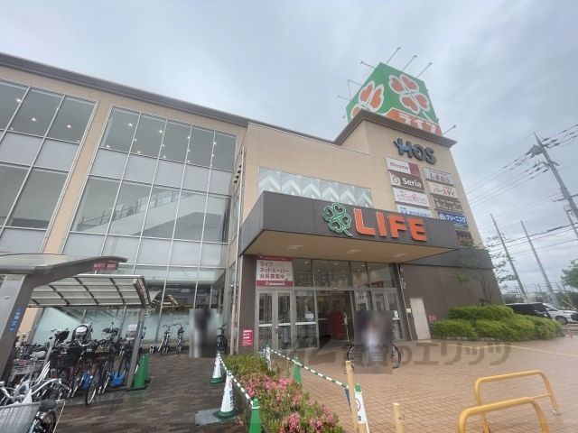 近くにライフ 八戸ノ里店まで250メートルあり