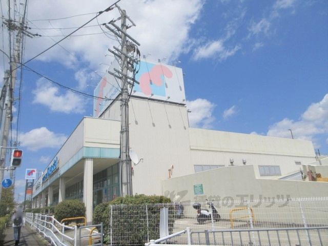 近くに万代 菜畑店まで800メートルあり