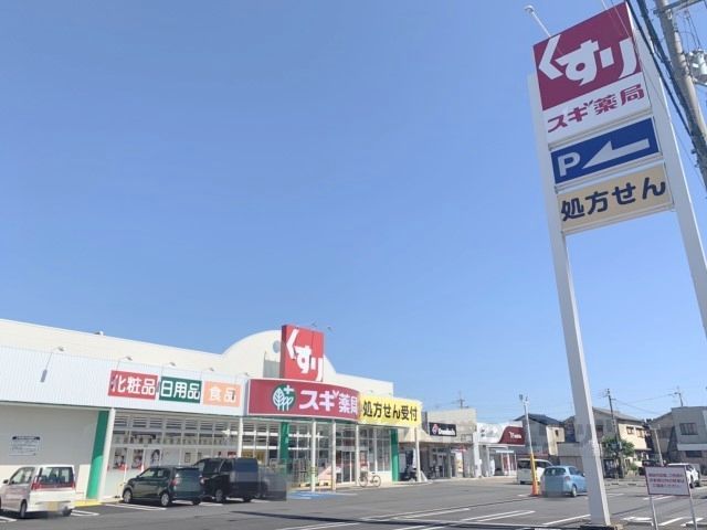 近くにスギ薬局　南永井町店まで350メートルあり