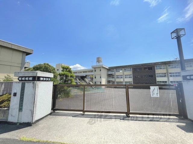 近くに丹波市小学校まで270メートルあり