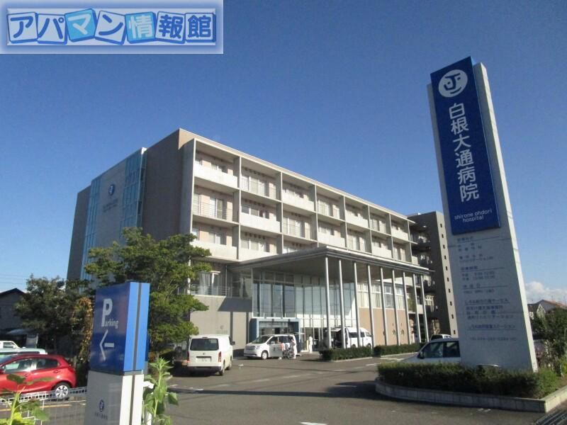 近くの白美会白根大通病院まで291m(徒歩4分)