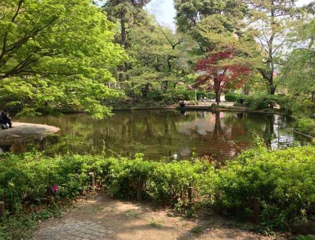近くの清水谷公園まで850m(徒歩11分)