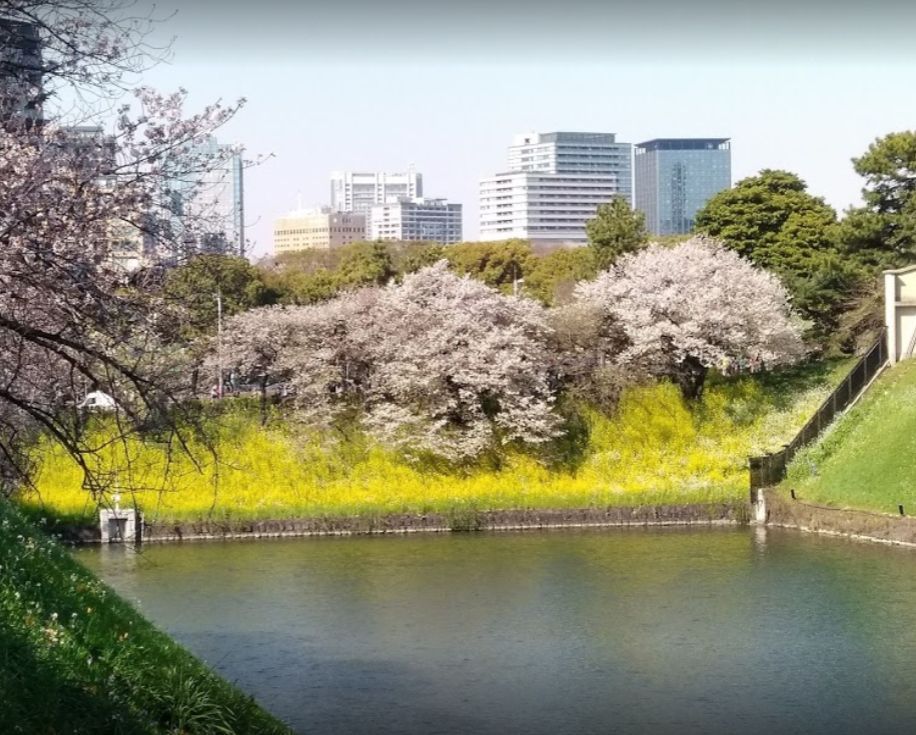 近くの千鳥ヶ淵公園まで350m（徒歩5分）