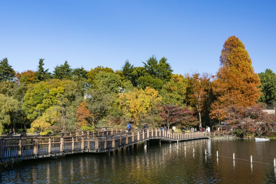 近くの井の頭恩賜公園まで222m(徒歩3分)