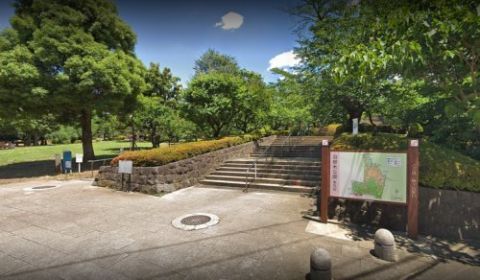 近くの羽根木公園まで609m(徒歩8分)