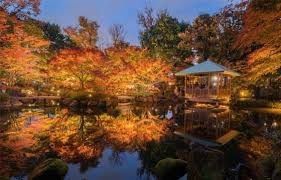 近くの大田黒公園まで1,289m（徒歩17分）