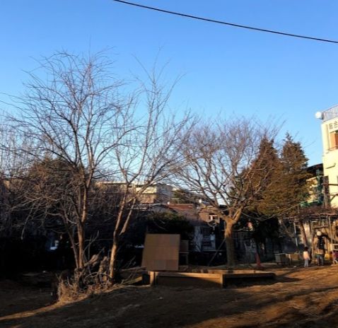 近くの駒沢はらっぱプレーパークまで239m(徒歩3分)
