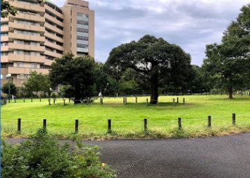 近くの中目黒公園まで718m(徒歩9分)