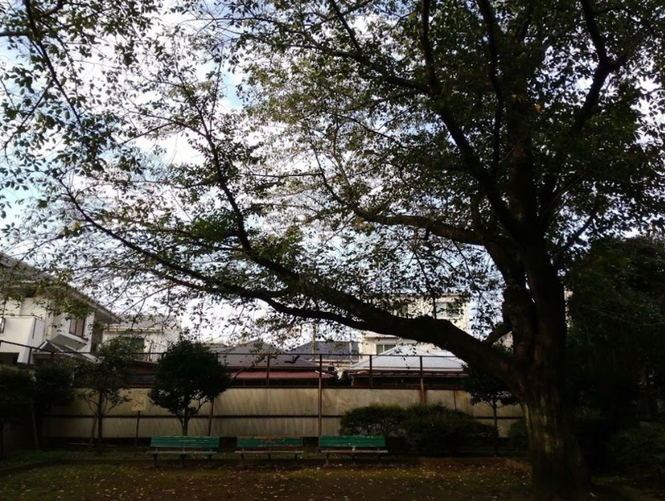 近くの上高田三丁目公園まで409m（徒歩6分）