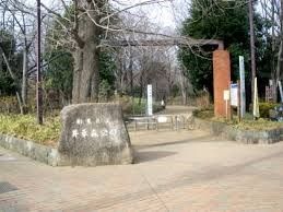 近くの井草森公園まで325m(徒歩5分)