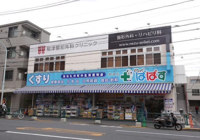 近くのどらっぐぱぱす 根津店まで700m(徒歩9分)