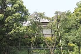 近くの荻外荘公園まで649m（徒歩9分）