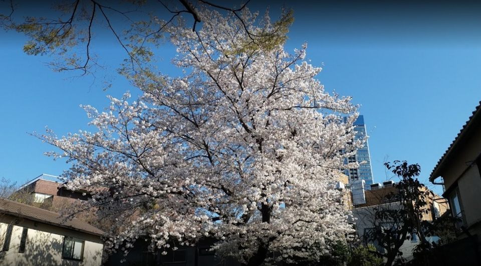 近くの高田馬場公園まで527m（徒歩7分）