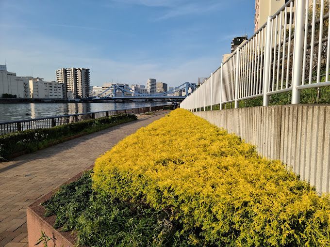 近くの中洲公園まで395m（徒歩5分）