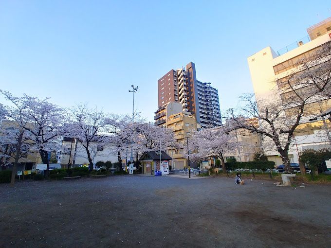 近くの公園まで265m（徒歩4分）