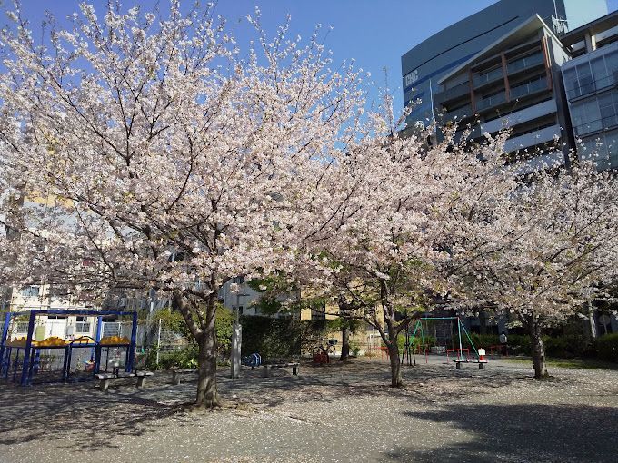 近くの箱崎公園まで244m（徒歩4分）