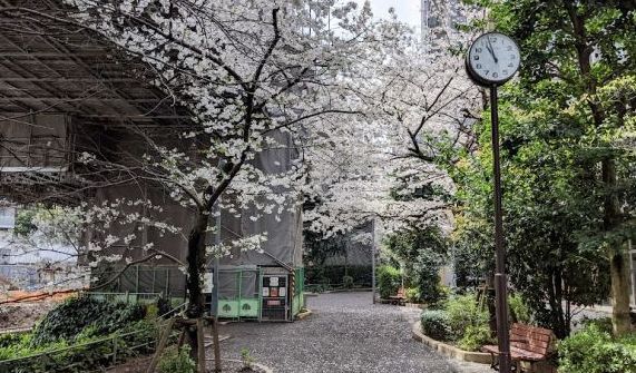 近くの新広尾公園まで352m(徒歩5分)