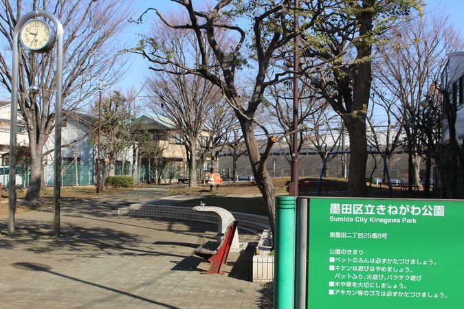 近くのきねがわ公園まで125m（徒歩2分）