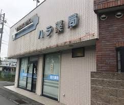 近くのハラ薬局まで119m（徒歩2分）