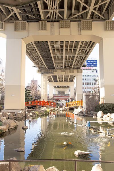 近くの竪川河川敷公園まで543m（徒歩7分）