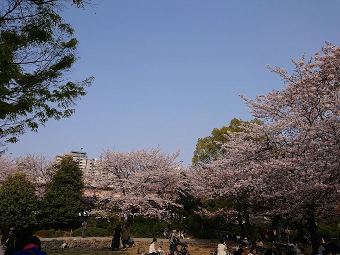 近くの浜町公園まで192m（徒歩3分）