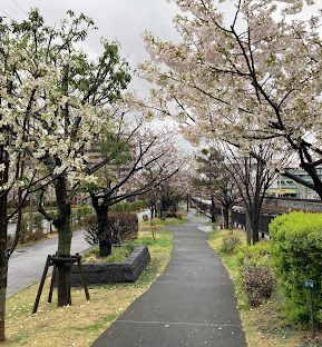 近くの北砂緑道公園まで467m（徒歩6分）
